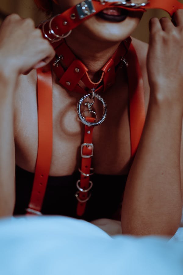 Harnais BDSM : guide pour choisir le bondage parfait